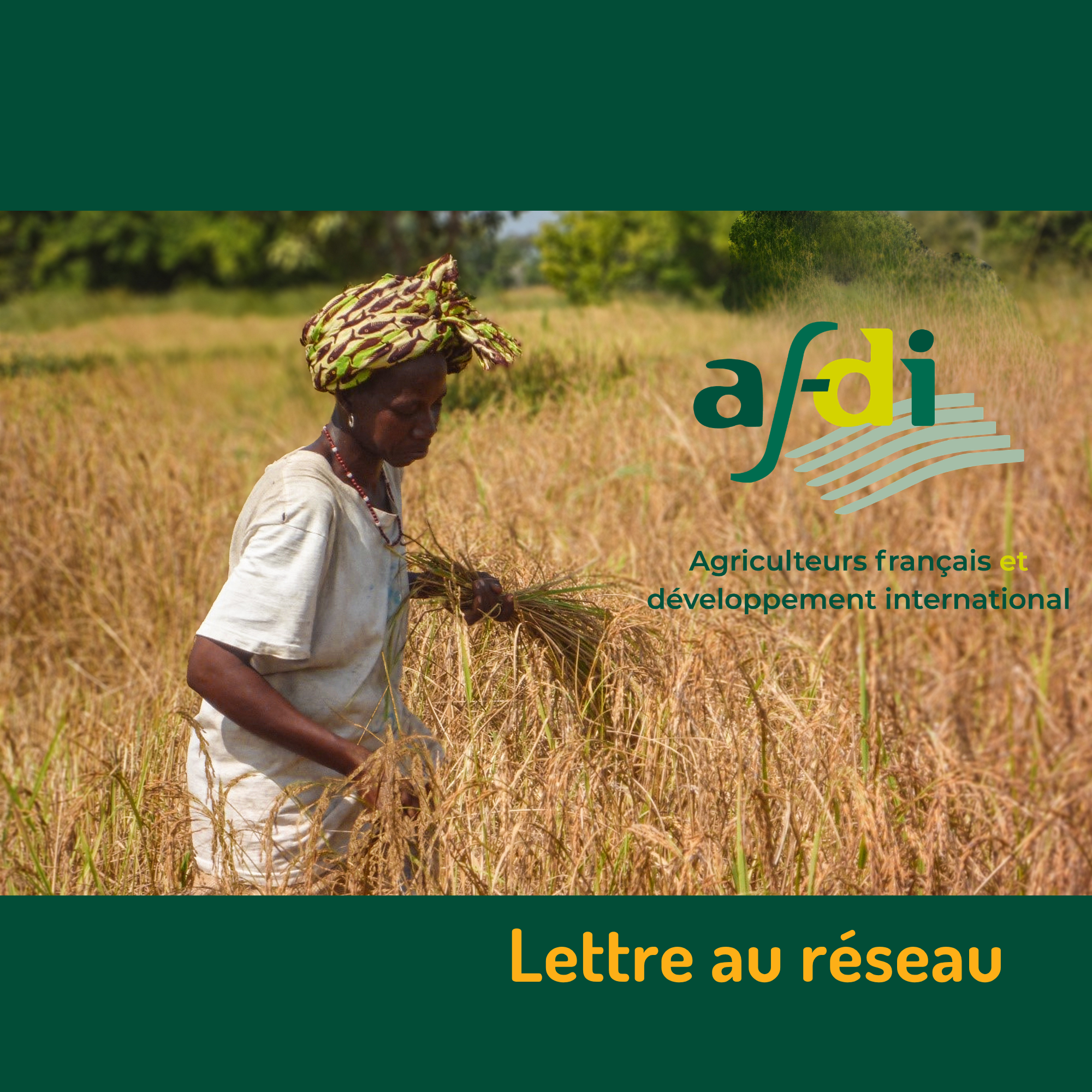 Lettre au réseau-Afdi
